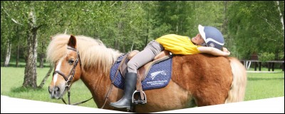 Quel cheval est le plus petit au monde ?