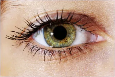 Comment le daltonisme affecte-t-il vos yeux ?