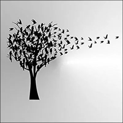 Quel oiseau possède une collerette blanche, un bec jaune et des pattes rouges ?