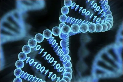 Une force est caractérisée par :