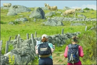 Ce sont des balles ... à effets !