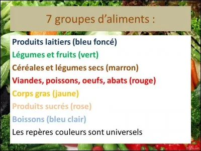 De quelle couleur est représenté le groupe d'aliments "viandes, poissons, oeufs" ?