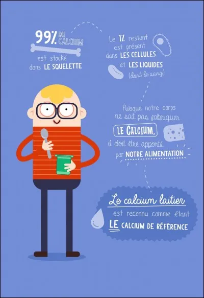 Quel est le rôle des produits laitiers ?