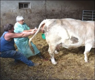 Après le bac et durant deux ans de classes préparatoires BCPST (Biologie / Chimie / Physique et Sciences de la Terre), pour quelles matières le niveau est-il très élevé ?