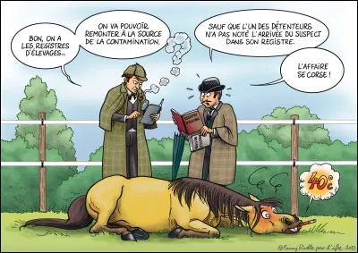 À l'occasion de quelles requêtes intervient-il ?