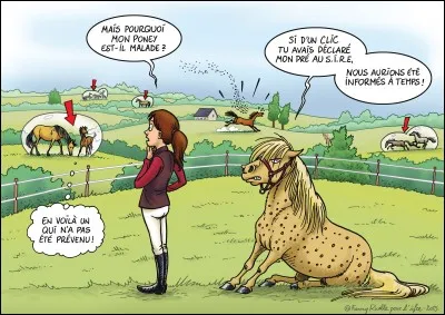 Ce professionnel passionné et disponible peut-il avoir un rôle dans l'élaboration de nouveaux produits destinés à la consommation animale, selon l'orientation choisie ?