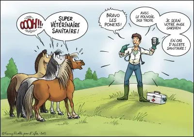 Quelle autre orientation, ce professionnel des animaux, peut-il suivre ?