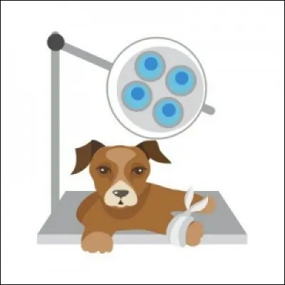 Vous envisagez donc d'être [...] plus tard.