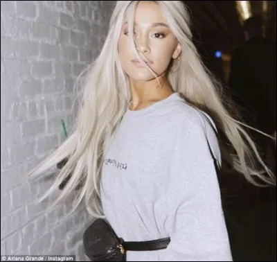 Que veut dire Sweetener ?