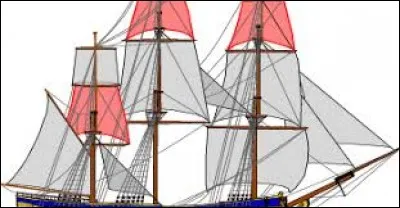 Le kakapo est un animal : lequel ?