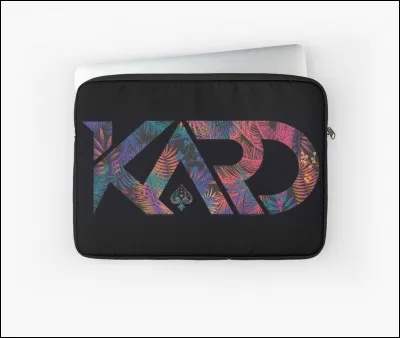 À quel groupe appartient ce logo ?