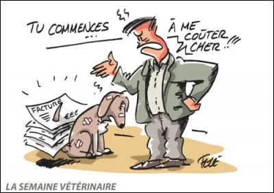 Passe-t-on un concours pour être auxiliaire spécialisé vétérinaire ?