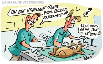 Si vous avez correctement répondu en q4, qu'est-ce cela suppose de la formation ?