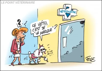 Est-ce que l'AVS est un professionnel de santé ?