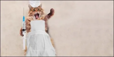 Quelles autres tâches incombent aux AVS ?