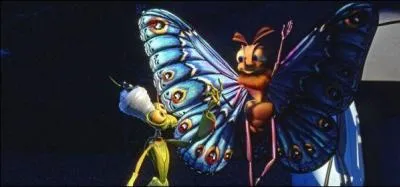 Ce beau papillon, on le voit dans ...