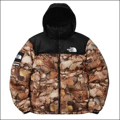 Quelle est la collaboration ?