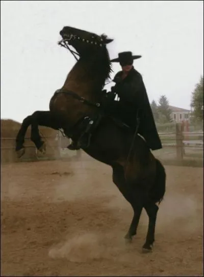 (Zorro) Comment s'appelle le cheval de Zorro ?