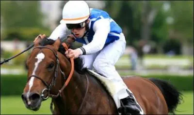 Comment appelle t-on la personne qui monte le cheval sur l'image ?