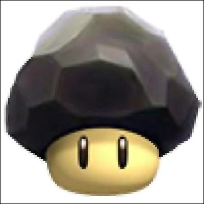 Quel est ce Champignon ?