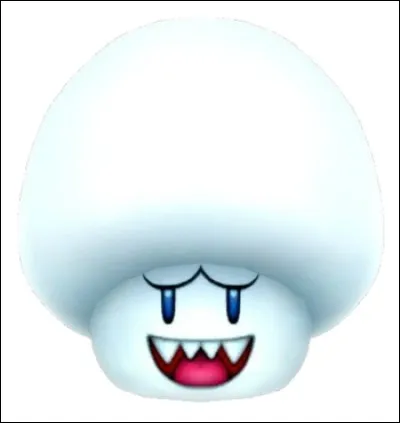 Quel est ce Champignon ?