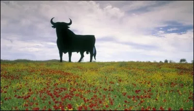 /Espagnol/ Quel verbe doit-on utiliser pour dire d'une personne qu'elle est belle ?