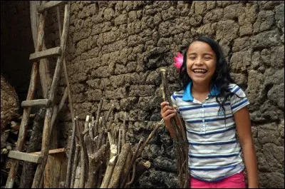 Dans ce plus petit pays d'Amérique centrale, il y a souvent des éruptions volcaniques ainsi que des tremblements de terre. Le pays est connu comme celui des volcans. Les maisons rurales sont faites de sable, d'argile, d'eau et de paille et ont un grand porche.
Dans quel pays bâtit-on des maisons en terre pour résister aux volcans et aux tremblements de terre ?
