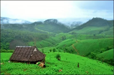 On trouve ces habitations, appréciées pour les vacances, dans un paysage à l'incroyable beauté naturelle. Elles sont faites de bois et de bambou, avec des poteaux soulevés.
Ces maisons sont vivantes : il y a un flux d'air de rafraîchissement naturel sous le toit et le plancher.
Trouvez le pays où la maison peut être aussi un refuge temporaire aux champs, loin du village.