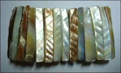 De nacre est mon intérieur, sur les rochers je suis fixé, de trous je suis percé, souvent, pour me trouver, il faut plonger !