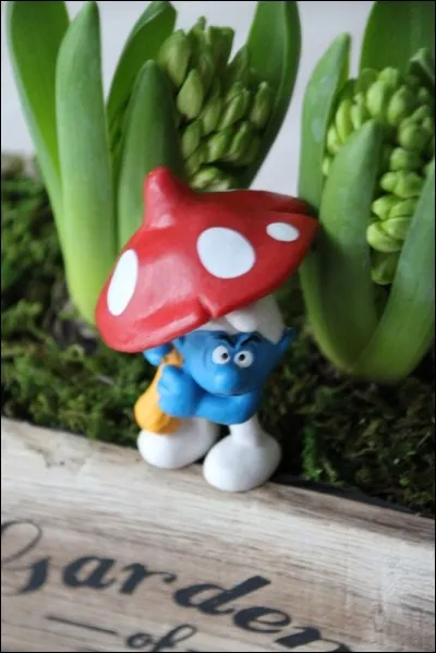 Inutile de somatiser avec le "soma" : ce breuvage - pour les Zoroastriens comme chez les Hindous - éminemment hallucinogène comportait probablement ... (Complétez !)