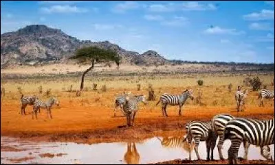 Quelle est la capitale du Kenya ?