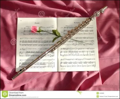 Sur quoi sont écrites les notes ?