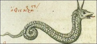 Quel nom porte le reptile capable de tuer par son regard ?