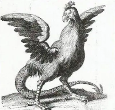 Que faisait-on avec la dépouille présumée d'un "cocatrix", coq géant avec une queue de dragon ?