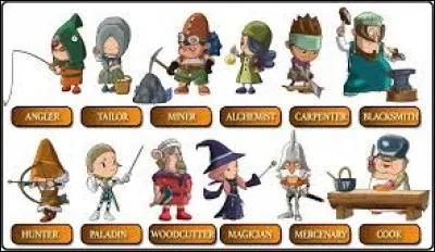 Combien y a-t-il de carrières ?