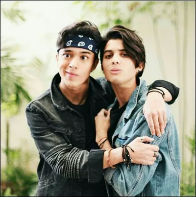 Quel est leur sport favori ?