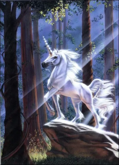 De quelles parties du corps la licorne a-t-elle des pouvoirs magiques ?