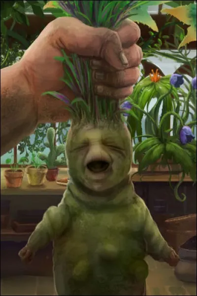 Quelle est la spécificité de la Mandragore et quel est son effet ?