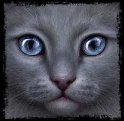 Quel Clan Etoile de Tigre a-t-il rejoint après avoir été banni du Clan du Tonnerre ?