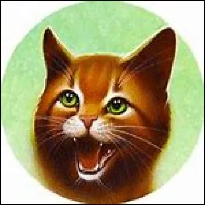 Contre qui Rusty se bat-il à son arrivée au sein du Clan du Tonnerre ?