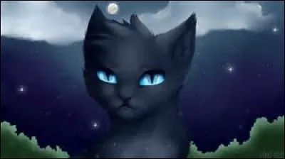 Comment meurt Etoile Bleue ?