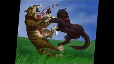 Comment s'appelle le meurtrier d'Etoile de Tigre ?