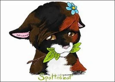 Qui fut le premier amour de Cur de Feu ?