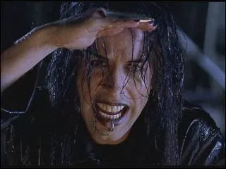 Damien apparat dans...