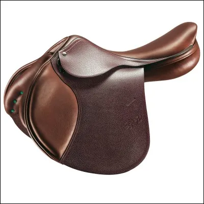 Quel mot ne fait pas partie de la selle ?