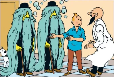 Qui sont ces chevelus ?