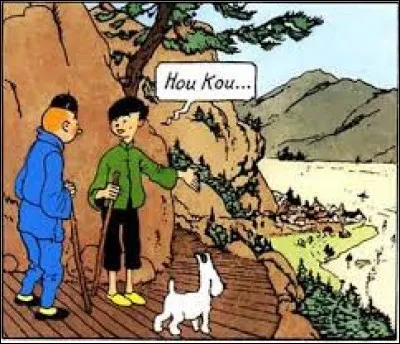 Qui montre Hou Kou à Tintin ?