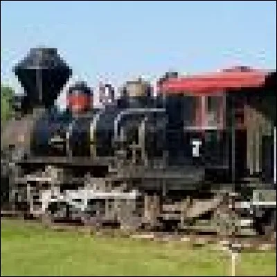 L'Industrialisation a vu émigrer de nombreux Canadiens au sud de la frontière. Le "roi du Nord", personnage de la question 6, a voulu freiner cet exode par la colonisation. Quel a été son principal moteur économique (indice à la question 5) ?