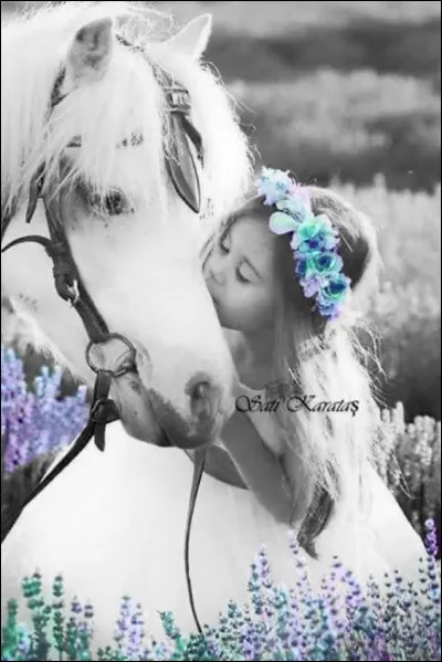 Qui est la maman du bardot ?