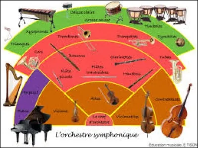 Pourriez-vous jouer dans un orchestre symphonique ?